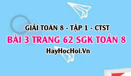 Giải bài 3 trang 62 Toán 8 Tập 1 SGK Chân trời sáng tạo